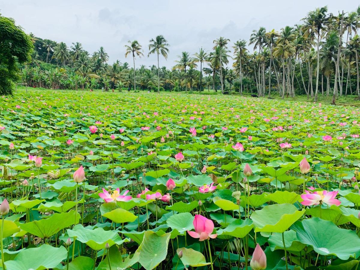 Maadathil Cottages Varkala Esterno foto