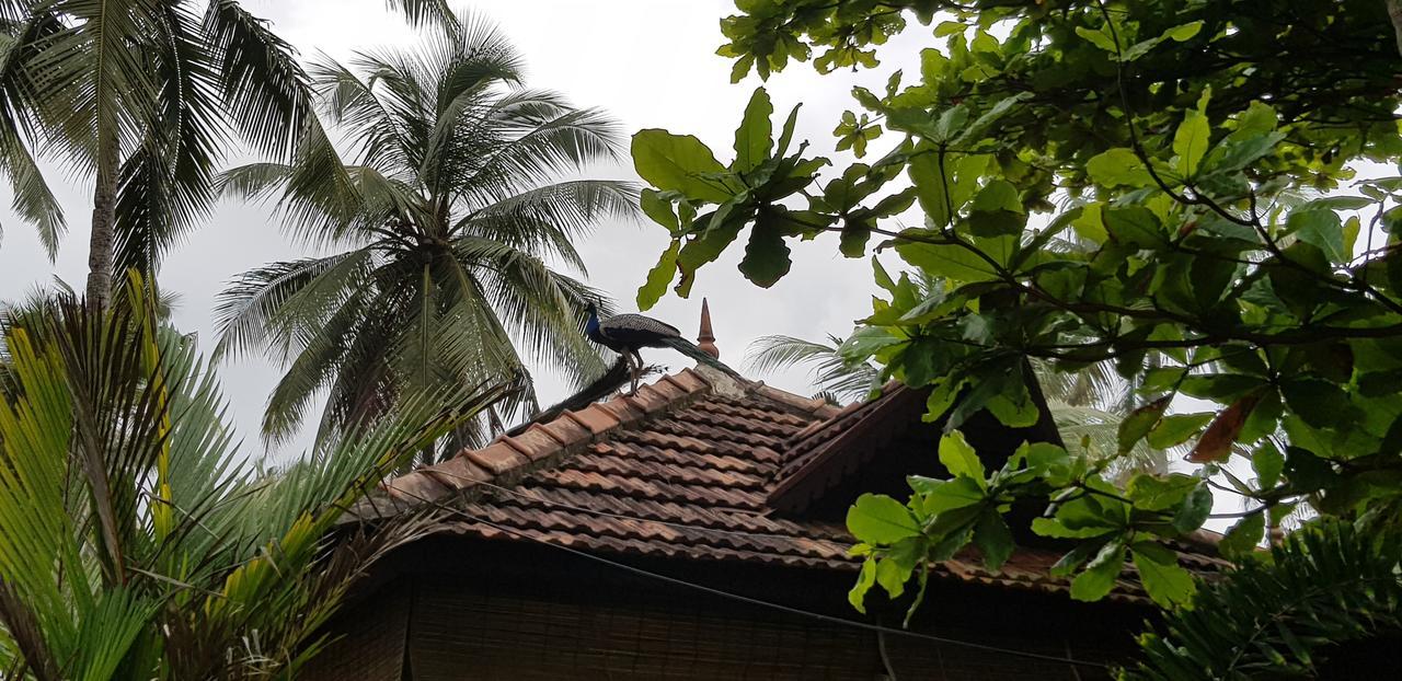 Maadathil Cottages Varkala Esterno foto